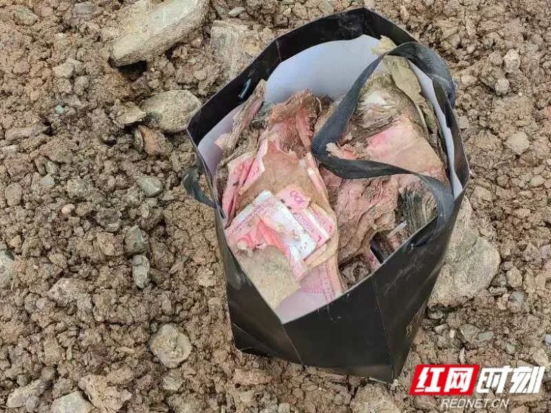2024新澳门原料网大全