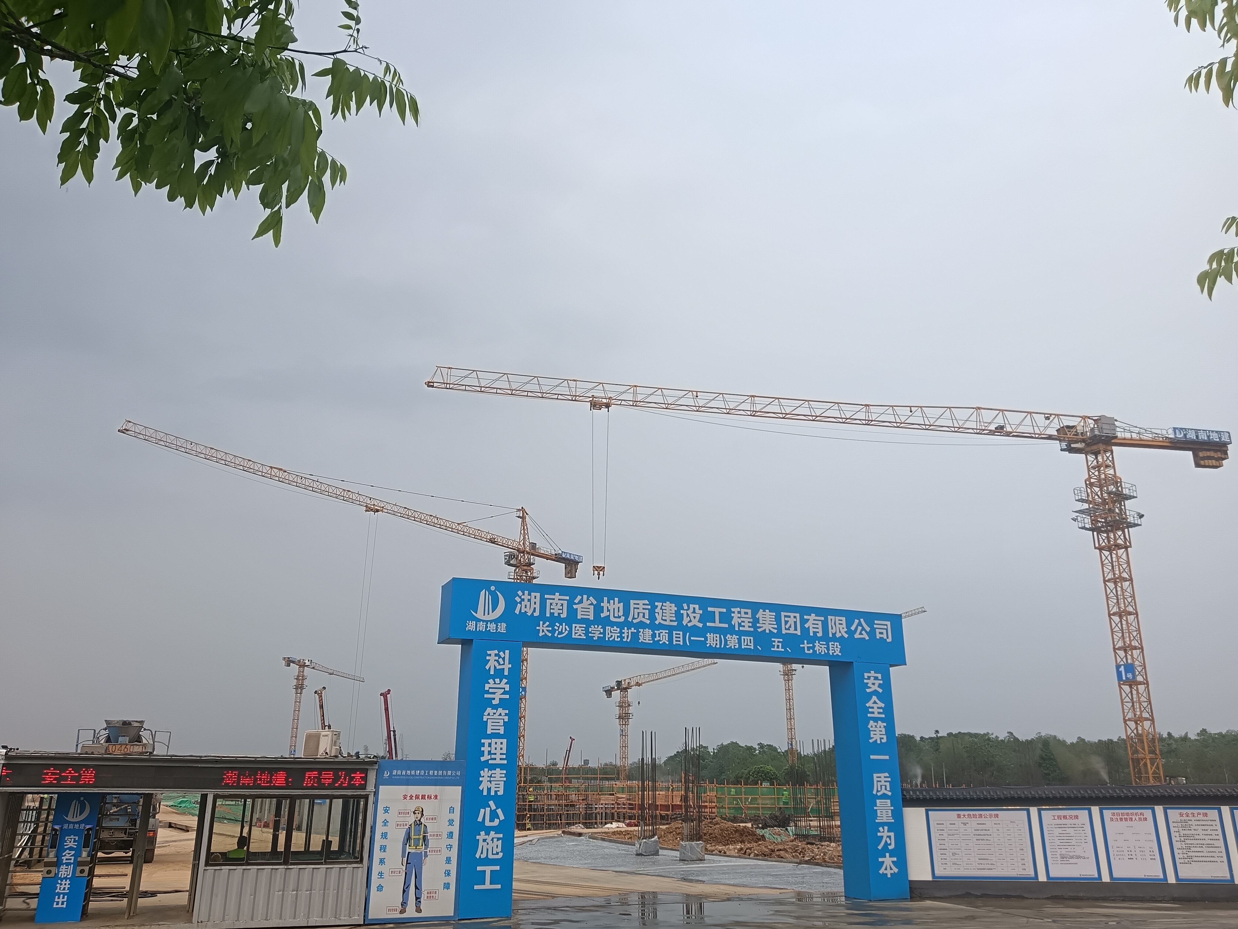 2024新澳门原料网大全