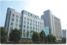 2024新澳门原料网大全