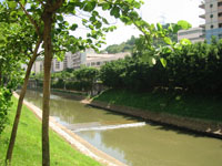 2024新澳门原料网大全